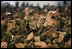 A sea of cameras and hands greet President Bush upon his arrival Saturday, Nov. 19, 2005, to Osan Air Base in Osan, Korea.