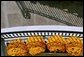 Orange Chrysanthemums adorn the Blue Room Balcony of the White House South Portico. White House Photo by Tina Hager.