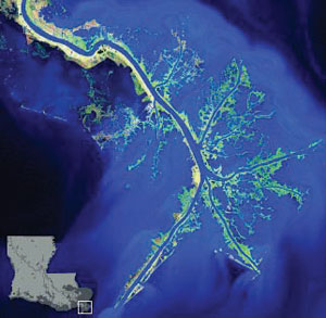 Mississippi River Delta, January 25, 2007.