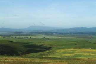 Six partners will restore tidal flows to 970 acres to re-establish estuarine intertidal wetlands and streams and link these wetlands to 2,000 acres of previously restored wetland habitat on San Pablo Bay National Wildlife Refuge in Sonoma County, California. This project was made possible by a NAWCA grant. (FWS)