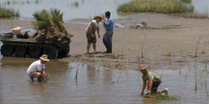 Volunteers at a restoration project in the Lafourche Parish, Louisiana, work to plant salt marsh grasses and places and fencing, which will help stabilize new habitat conditions created by the project.