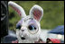 A character Easter rabbit places its hand over its heart during the playing of the National Anthem on the South Lawn of the White House during the 2006 White House Easter Egg Roll, Monday, April 17, 2006.A character Easter rabbit places its hand over its heart during the playing of the National Anthem on the South Lawn of the White House during the 2006 White House Easter Egg Roll, Monday, April 17, 2006.