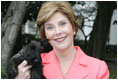 Laura Bush holds Miss Beazley shortly after the arrival of the 10-week-old Scottish terrier to the White House Thursday, Jan. 6, 2005. White House photo by Susan Sterner.