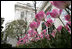 Flowers bloom as the Spring season gets underway at the White House, April 3, 2006.