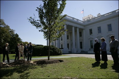 President George W. Bush and Laura Bush take part in the planting of three elm trees on the north grounds of the White House Monday, Oct. 2, 2006. The trees, cultivated by the National Park Service, replace trees recently lost to age, winds and Dutch elm disease. The new trees were grown to be resistant to the disease.