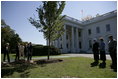 President George W. Bush and Laura Bush take part in the planting of three elm trees on the north grounds of the White House Monday, Oct. 2, 2006. The trees, cultivated by the National Park Service, replace trees recently lost to age, winds and Dutch elm disease. The new trees were grown to be resistant to the disease.