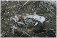 Artifacts like a golf ball, lighter, and random pieces of plastic poke through the skeletal remains of an albatross on Midway Atoll. These artifacts of global pollution are eaten by the albatross, which ultimately kills them. In 2006, the National Oceanic & Atmospheric Administration (NOAA) picked up 21 tons marine debris in the Northwestern Hawaiian Islands.