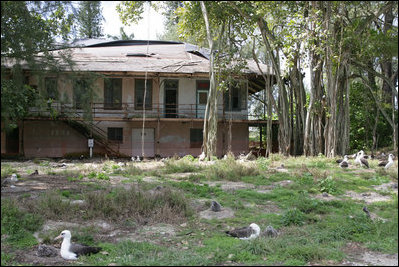 To keep the birds from eating flaking paint, netting surrounds an abandoned buildings on Sand Island. These Cable buildings were built at the turn of the 20th Century and were used for some of the first telegram messages sent.