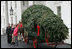 Mrs. Laura Bush welcomes the arrival of the official White House Christmas tree Monday, Nov. 26, 2007, to the North Portico of the White House. The 18-foot Fraser Fir tree, from the Mistletoe Meadows tree farm in Laurel Springs, N.C., will be on display in the Blue Room of the White House for the 2007 Christmas season. Joining Mrs. Bush, from left are, Beth Walterscheidt, president of the National Christmas Tree Association, and Joe Freeman and his wife Linda Jones of Mistletoe Meadow tree farm in Laurel Springs, N.C. 