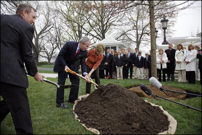 President George W. Bush and Mrs. Laura Bush shovel dirt to plant a Scarlet Oak tree Wednesday, April 9, 2008, at the commemorative tree planting on the North Lawn of the White House. The tree is being planted to replace a tree that fell on October, 25, 2007. The original Scarlet Oak was planted in 1892 by President Benjamin Harrison. Relatives of President Benjamin Harrison were invited to join the President and Mrs. Bush at the tree planting ceremony, Harrison's, Ben Walker, great-grandson of President Benjamin Harrison, is seen at left.