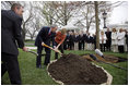 President George W. Bush and Mrs. Laura Bush shovel dirt to plant a Scarlet Oak tree Wednesday, April 9, 2008, at the commemorative tree planting on the North Lawn of the White House. The tree is being planted to replace a tree that fell on October, 25, 2007. The original Scarlet Oak was planted in 1892 by President Benjamin Harrison. Relatives of President Benjamin Harrison were invited to join the President and Mrs. Bush at the tree planting ceremony, Harrison's, Ben Walker, great-grandson of President Benjamin Harrison, is seen at left.