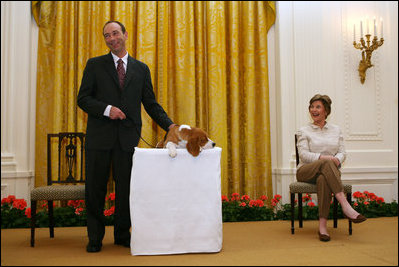 Mrs. Laura Bush looks on as the Westminster Kennel Club's 2008 Best in Show Winner, Uno, and his co-owner Eddie Dziuk address guests during their visit to the White House Monday, May 5, 2008, in the East Room of the White House.