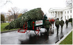 Sue Harman drives a horse-drawn carriage delivering the official White House Christmas tree Sunday, Nov. 30, 2008, to the North Portico of the White House. The Fraser Fir tree, from River Ridge Farms in Crumpler, N.C., will be on display in the Blue Room of the White House for the 2008 Christmas season.