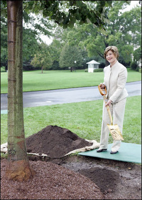 Mrs. Laura Bush plants a Silver Leaf Linden tree during a commemorative tree planting ceremony Saturday, Sept. 27, 2008, on the South Lawn of the White House. The tradition of planting a commemorative tree dates back to 1830 when President Andrew Jackson two Southern Magnolias on either side of the South Portico of the White House.