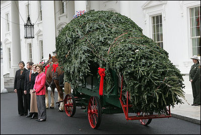 Mrs. Laura Bush welcomes the arrival of the official White House Christmas tree Monday, Nov. 26, 2007, to the North Portico of the White House. The 18-foot Fraser Fir tree, from the Mistletoe Meadows tree farm in Laurel Springs, N.C., will be on display in the Blue Room of the White House for the 2007 Christmas season. Joining Mrs. Bush, from left are, Beth Walterscheidt, president of the National Christmas Tree Association, and Joe Freeman and his wife Linda Jones of Mistletoe Meadow tree farm in Laurel Springs, N.C.