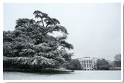 WHITE HOUSE WINTER 2007