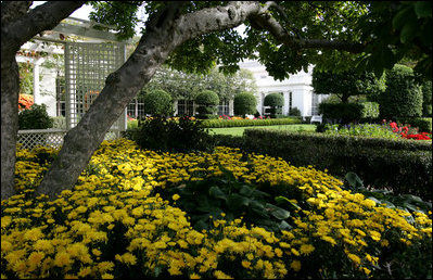 The Jacqueline Kennedy Garden or East Garden is ready for the Fall Garden tour on Oct. 19, 2008 at the White House.