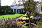 Salvia’s purple hues balance the Chrysanthemums’ orange flair in the Jacqueline Kennedy Garden of the White House gardens during the 2004 season.