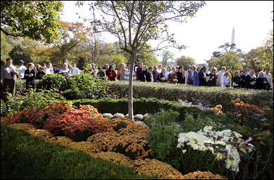 White House visitors peek over the Rose Garden's Boxwood Hedge at the bright purple Salvia, orange and yellow Chrysanthemums and Osmanthus Holly during the White House Fall Garden and Grounds Tour Oct. 28, 2006.