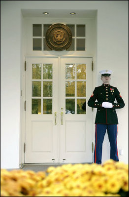 Mums the word when a Marine stands post outside the West Wing lobby near a bed of Chrysanthemums.