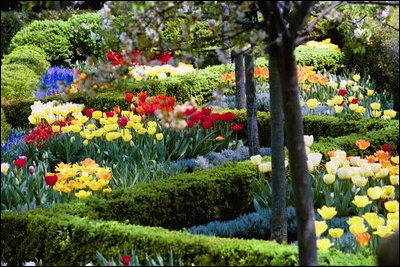 Flowers bloom in the Rose Garden April 18, 2004.