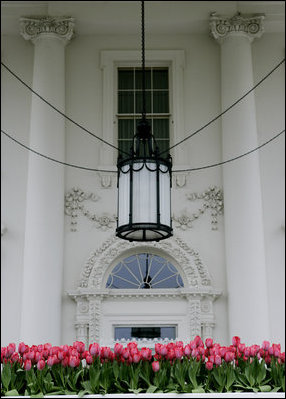 The North Portico entrance to the White House is decorated with bright pink tulips beneath the ornate hanging lamp April 11, 2007. White House photo by Shealah Craighead 