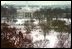 An early winter snow transforms the White House and Lafayette Park into a winter wonderland, Thursday, Dec. 5, 2002.