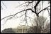 A blanket of snow covers the South Lawn of the White House, Thursday, Dec. 5, 2002.