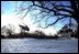 The President's helicopter, Marine One, lifts off from an icy South Lawn as he heads toward Georgia to meet with small business owners Thursday, Jeb. 20, 2003.