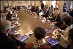 President George W. Bush discusses the creation of the Department of Homeland Security with members of Congress in a meeting in the Cabinet Room July 16, 2002. 