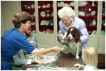 With a curious look, first pet Millie Bush has her paw print made for a greeting card in the China Room on July 2, 1991. Millie's owners were President George H.W. Bush and Barbara Bush. Millie's offspring, Spot, now lives in the White House with President George W. Bush and Laura Bush.