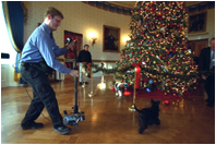 As a camera captures his every move, Barney follows behind Spot as they take a look at the bird ornaments on the White House Christmas Tree in the Blue Room, Monday Dec. 9, 2002.