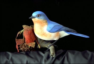 Blue bird ornament by Randall Martin, Whites Creek, TN