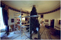 This year's tree is an 18-foot Noble Fir from the Hedlund Christmas Farm in Elma, Washington.