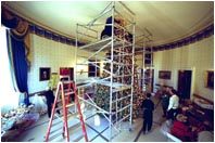 Volunteers carefully place red and gold balls and hundreds of hand-crafted bird ornaments on the White House Christmas tree. From turkeys to cardinals, artisans from across the country chose birds native to their state to create a White House ornament.