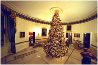 After the completion of the White House tree, volunteers celebrate with hugs and cheers.