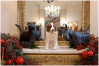 Adorning the Entry Hall mantel are the pets of President George W. Bush and Laura Bush. The Bushes' cat, India "Willie" Bush, and Spot, their English Springer Spaniel, have been part of the Bush pet clan for more than a decade. Barney Bush, a Scottish terrier, was a birthday gift from the President to Mrs. Bush in 2000.