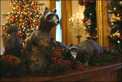 Rebecca and Rueben were pet racoons of President Calvin Coolidge and his wife, Grace. Rebecca, who joined the family before Rueben, was a favorite. The racoons spent their evenings in an outdoor shed and occasionally roamed the White House during the day. President Coolidge served from 1923 to 1929. 