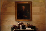 Millie, the beloved English springer spaniel of President George H.W. Bush and Barbara Bush, and her female puppy, Spot, greet guests along the ground floor corridor of the White House. During Millie's first few months of living in the White House, she gave birth to Spot and five others. Spot grew up in Texas with George W. and Laura Bush and their twin daughters. President George H.W. Bush served from 1989 to 1993.