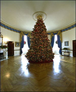 The Blue Room has long been the location of the official White House Christmas Tree. Ed and Cindy Hedlund and their son Thomas, of Hedlund Christmas Farm in Elma, Washington presented this year's 18-foot noble fir to President George W. Bush and wife Laura Bush. White House photo by Tina Hager.