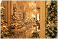 Christmas trees line the Cross Hall for the 2004 Christmas season at the White House.