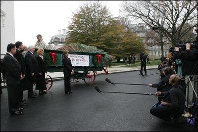 Laura Bush welcomes the arrival of the official White House Christmas tree delivered Monday, Nov. 28, 2005 on a horse drawn wagon. This year's tree, which will be displayed in the Blue Room of the White House, was donated by the Deal Family of Laurel Springs, N.C.