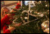 Decorators place holiday trimmings on the White House Christmas Tree, a large Fraser Fir, in the Blue Room of the White House, Tuesday, Nov. 29, 2005.