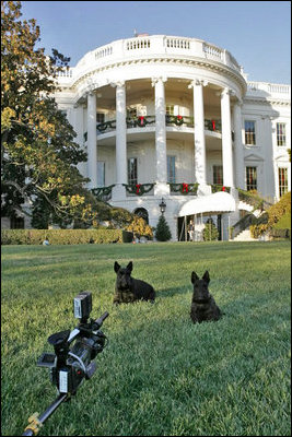 Barney and Miss Beazley wish everyone a Merry Christmas!