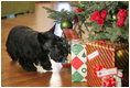 On his walk, Barney discovers a few presents. However, they are addressed to Miss Beazley, and not him!