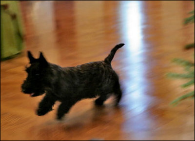 Miss Beazley dashes through the scene, jumping for joy about her presents.