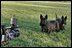 Barney and Miss Beazley takes the camera out for a stroll on the South Lawn.