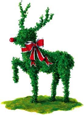 Topiary Rudolph