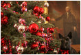 Miss Beazley, with George Washington looking on, gets a closer look at the Christmas decorations Wednesday, Nov. 29, 2006, in the East Room of the White House.