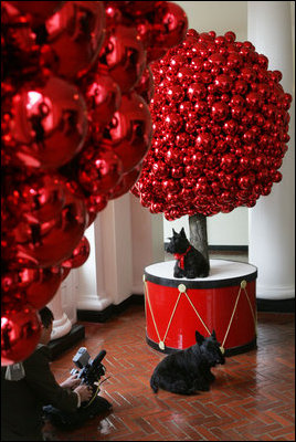 Barney and Miss Beazley show their best sides to the camera during the making of the 2006 Barney Cam, Wednesday, Nov. 29, 2006, in the East Wing of the White House. White House photo by Kimberlee Hewitt